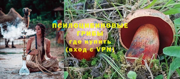 соль ск Абаза