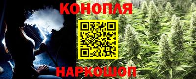 гидропоника Аша