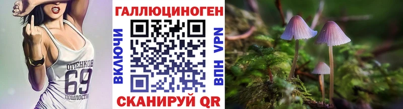 где купить наркоту  МЕГА рабочий сайт  Псилоцибиновые грибы MAGIC MUSHROOMS  Курск 