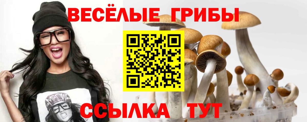 Псилоцибиновые грибы Cubensis  Вход с VPN  Псилоцибиновые грибы Cubensis  Курск 
